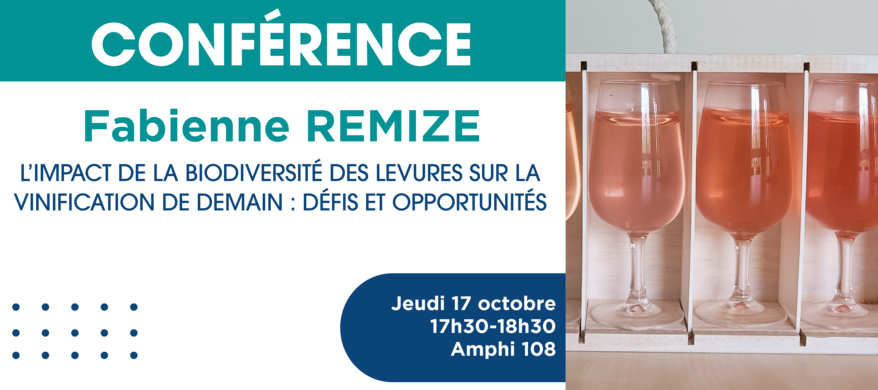 Conférence Fabienne REMIZE