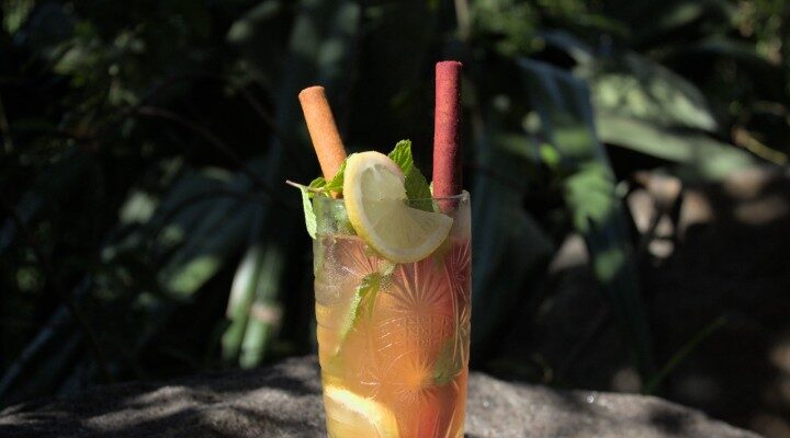 Photo du produit : les pailles comestibles dans un verre